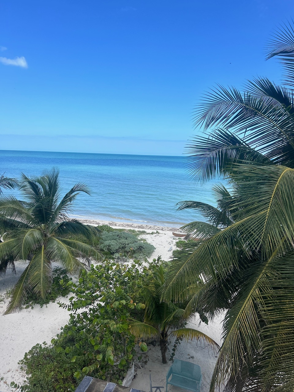 Turquoise sea framed by palms from the terrace