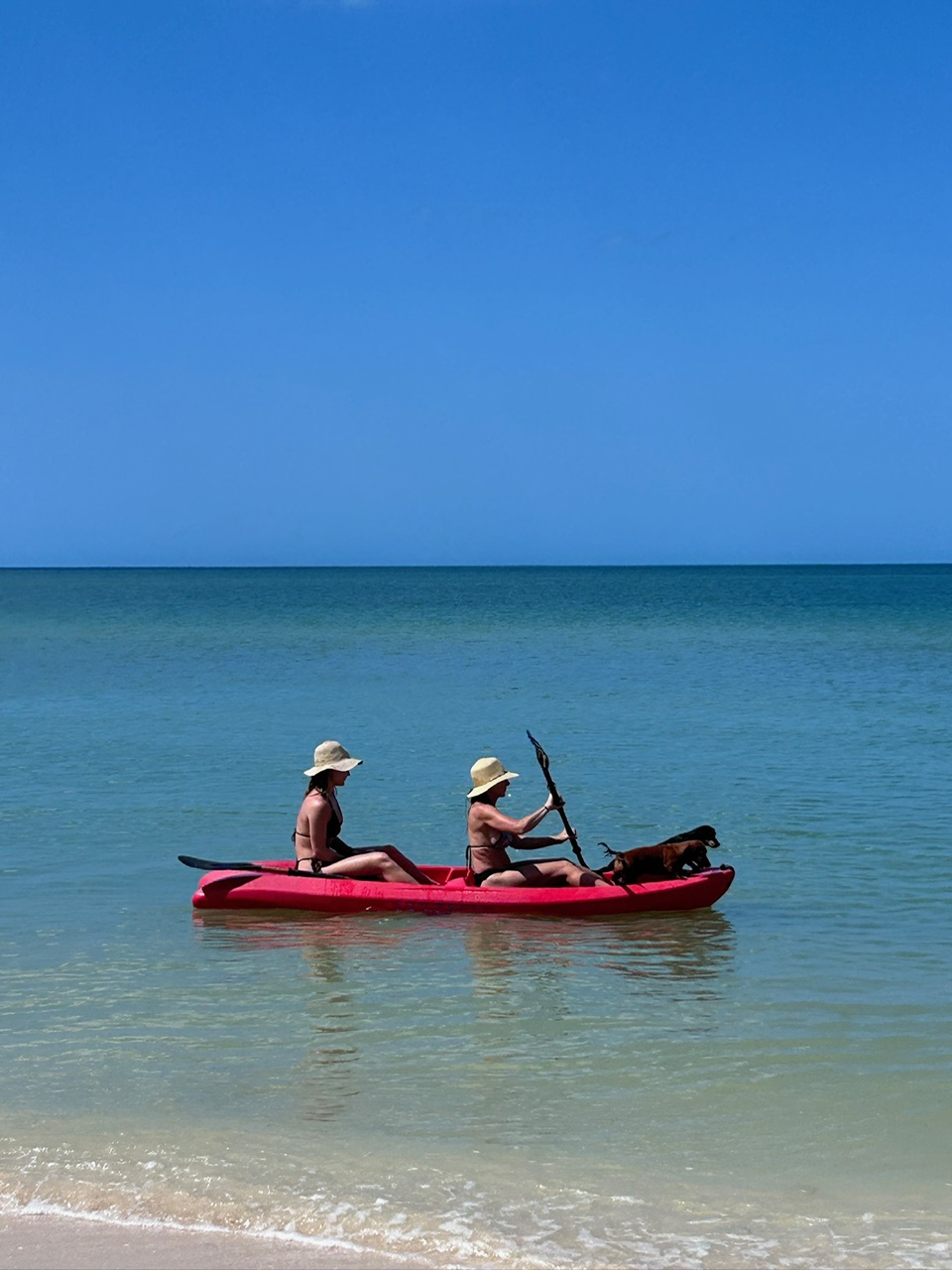 Two kayakers and a dog on calm turquoise water