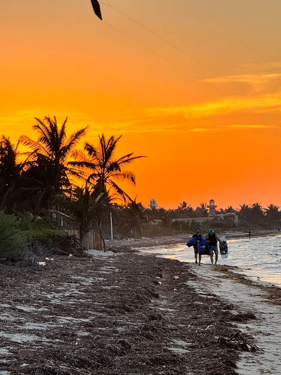 Kite surfers walking the beach at sunset